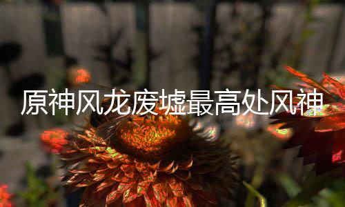 最高攻略处风原神风龙废墟神瞳收集