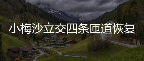 小梅条匝车道恢交四复通沙立